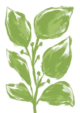 Big Green Leaves