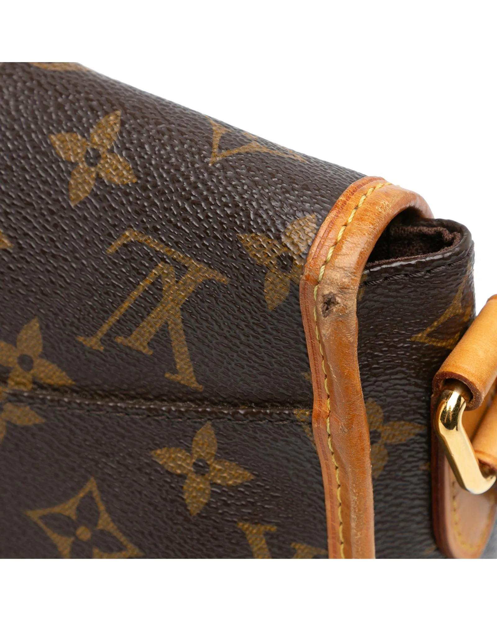 Monogram Canvas Crossbody Bag with Vachetta Leather Trim