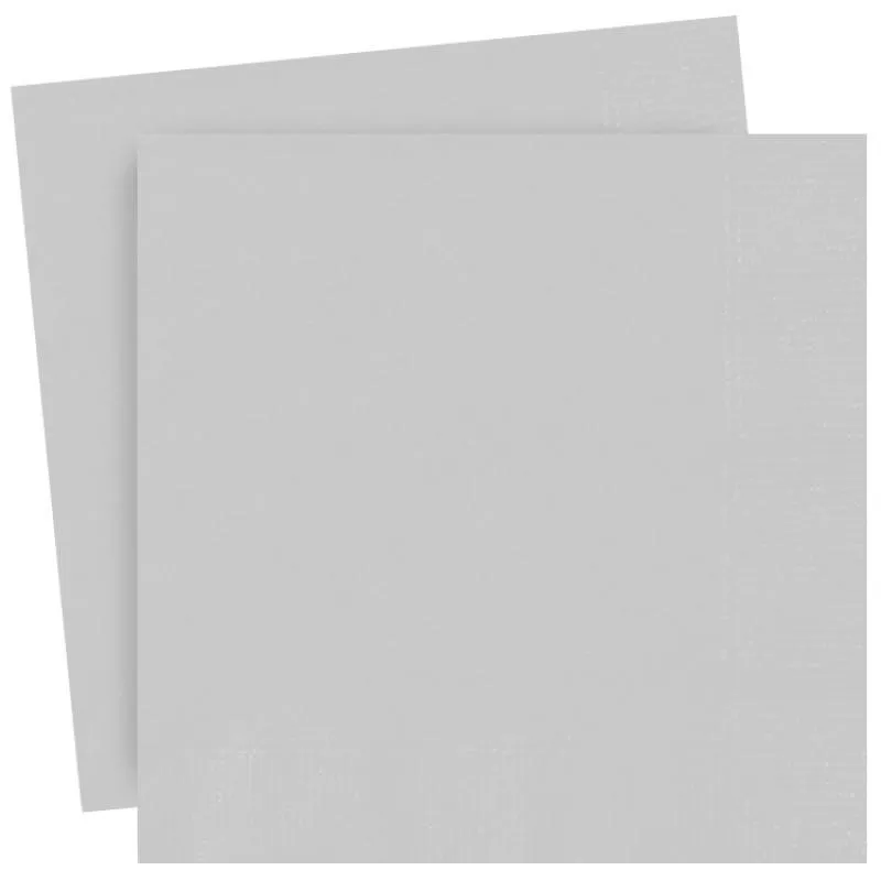 Plain Silver Party Napkins