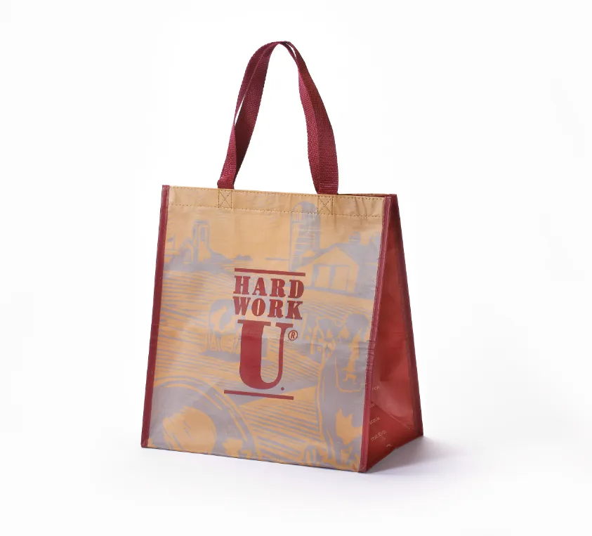 Reusable Custom Shopping Bag